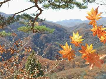 黑山县人民政府办公室最新人事任命